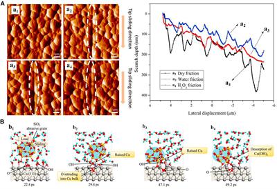 Role of Interfacial Bonding in Tribochemical Wear